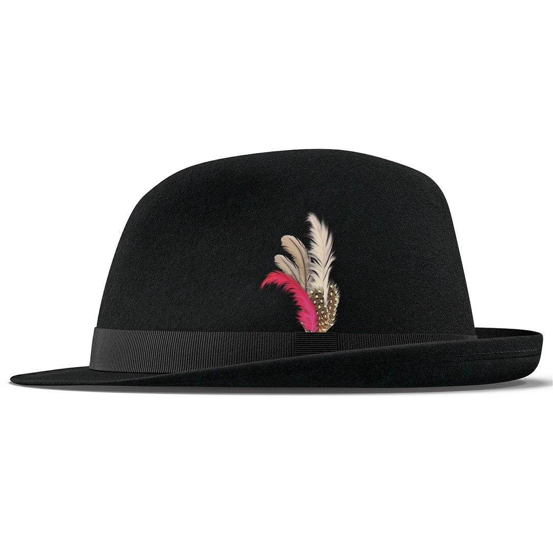 3d model fedora hat 2 https://p.turbosquid.com/ts-thumb/xZ/UcY7YM/XvRgZjrF/3dmodeloffedorahat05/jpg/1432825112/1920x1080/fit_q87/419871c2c090f7495d4470d3f6206f7fa050b0de/3dmodeloffedorahat05.jpg