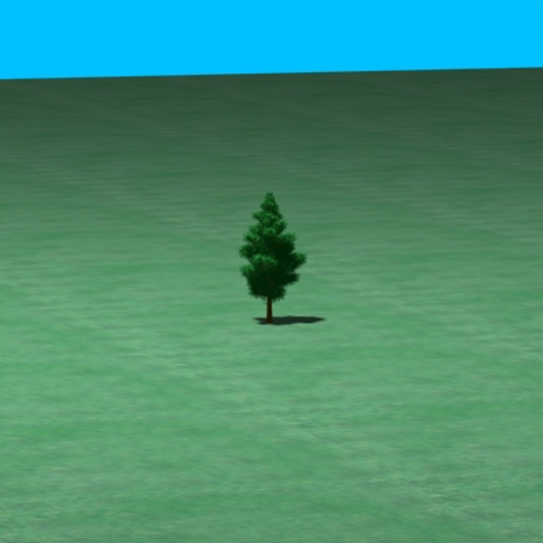Short Pine Tree 3d Model