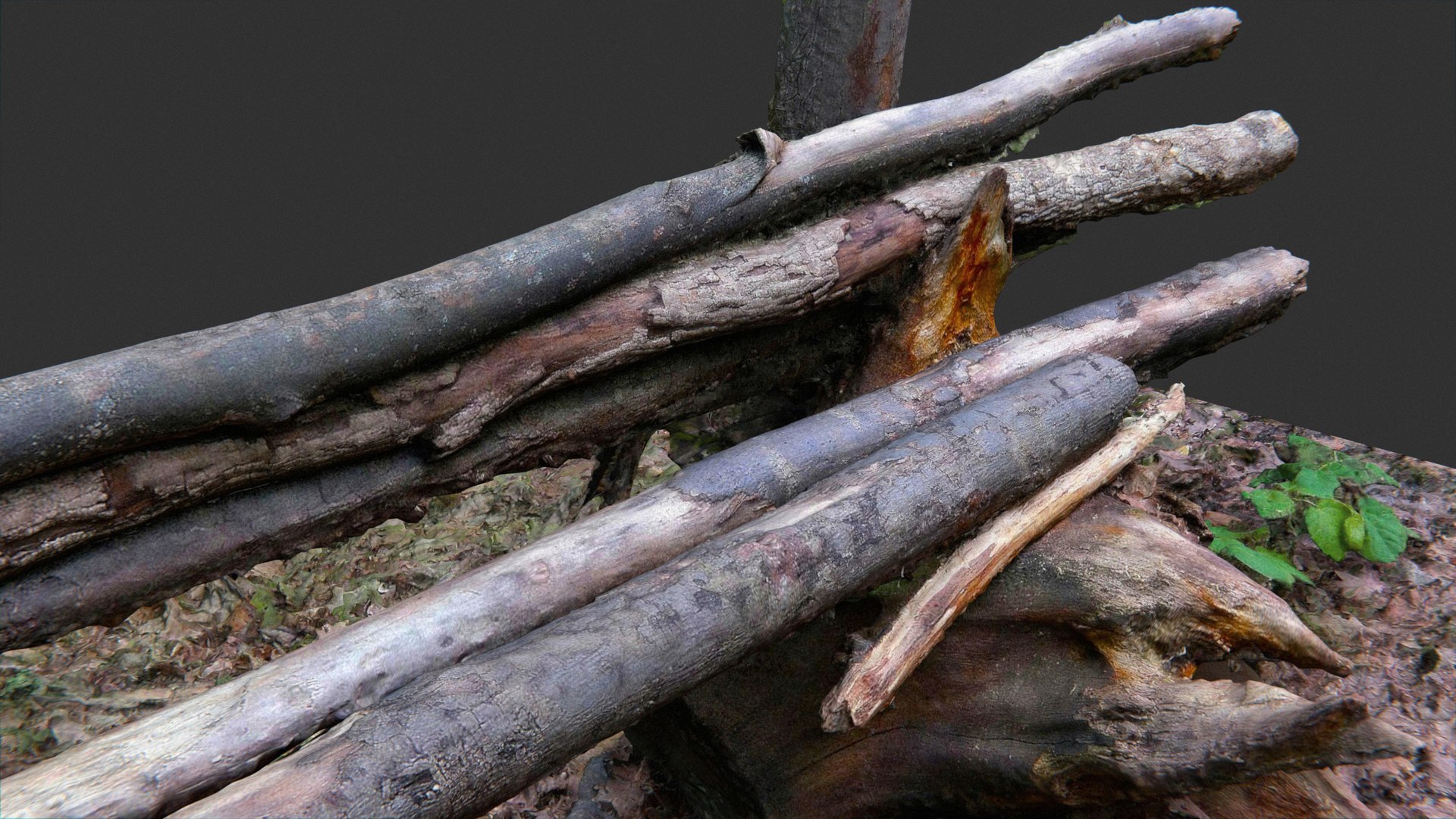 3D bench logs forest https://p.turbosquid.com/ts-thumb/xZ/a8ztiN/1FMXLdrq/pr9/jpg/1573413020/1920x1080/fit_q87/7a04c7dc3ebb671c2cd5e84aff991d2daeca733d/pr9.jpg