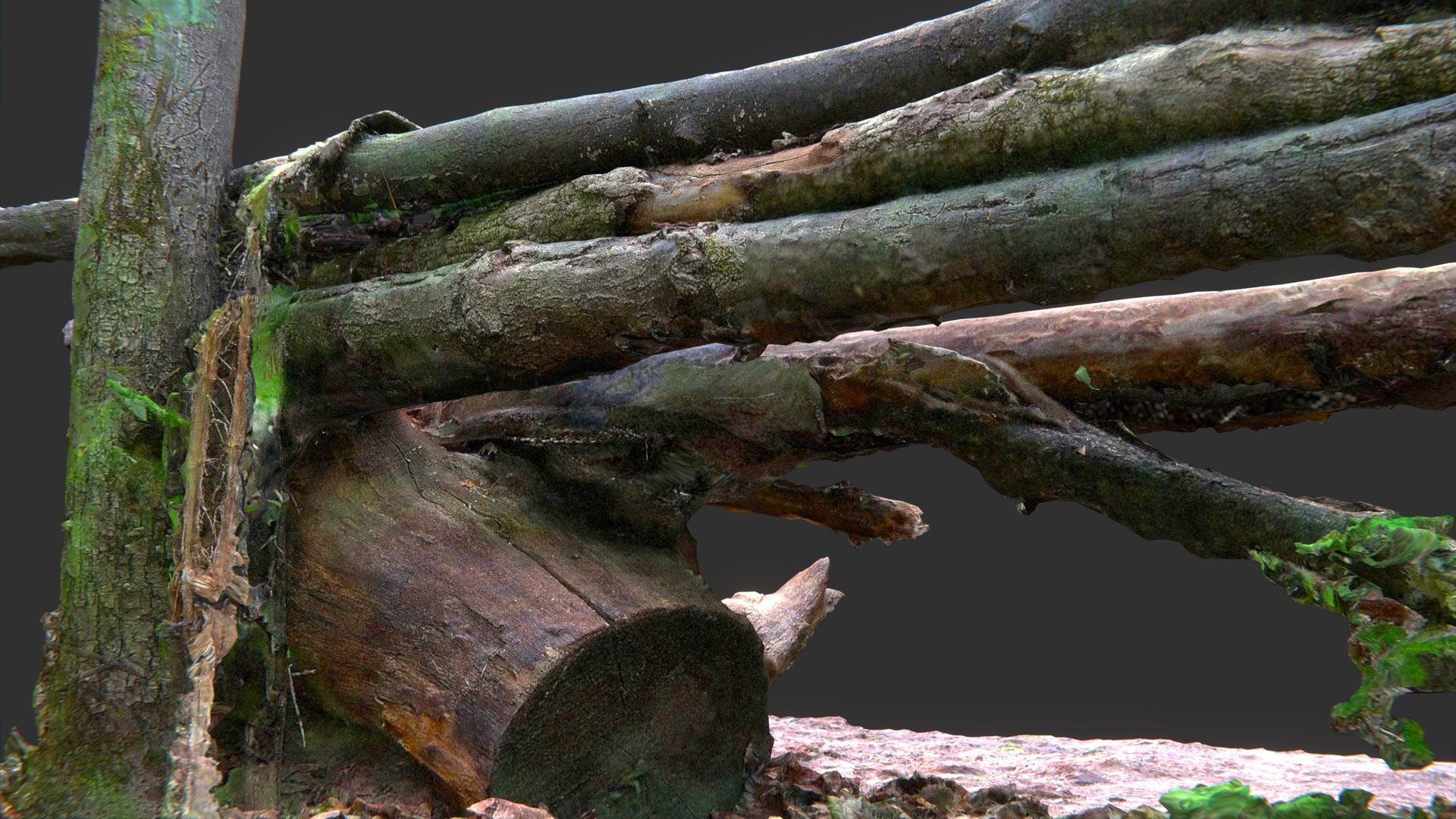 3D bench logs forest https://p.turbosquid.com/ts-thumb/xZ/a8ztiN/6zIDSQ3y/pr11/jpg/1573413020/1920x1080/fit_q87/a44f62ac6770b5bbfccb895ba3552ba35af3a580/pr11.jpg