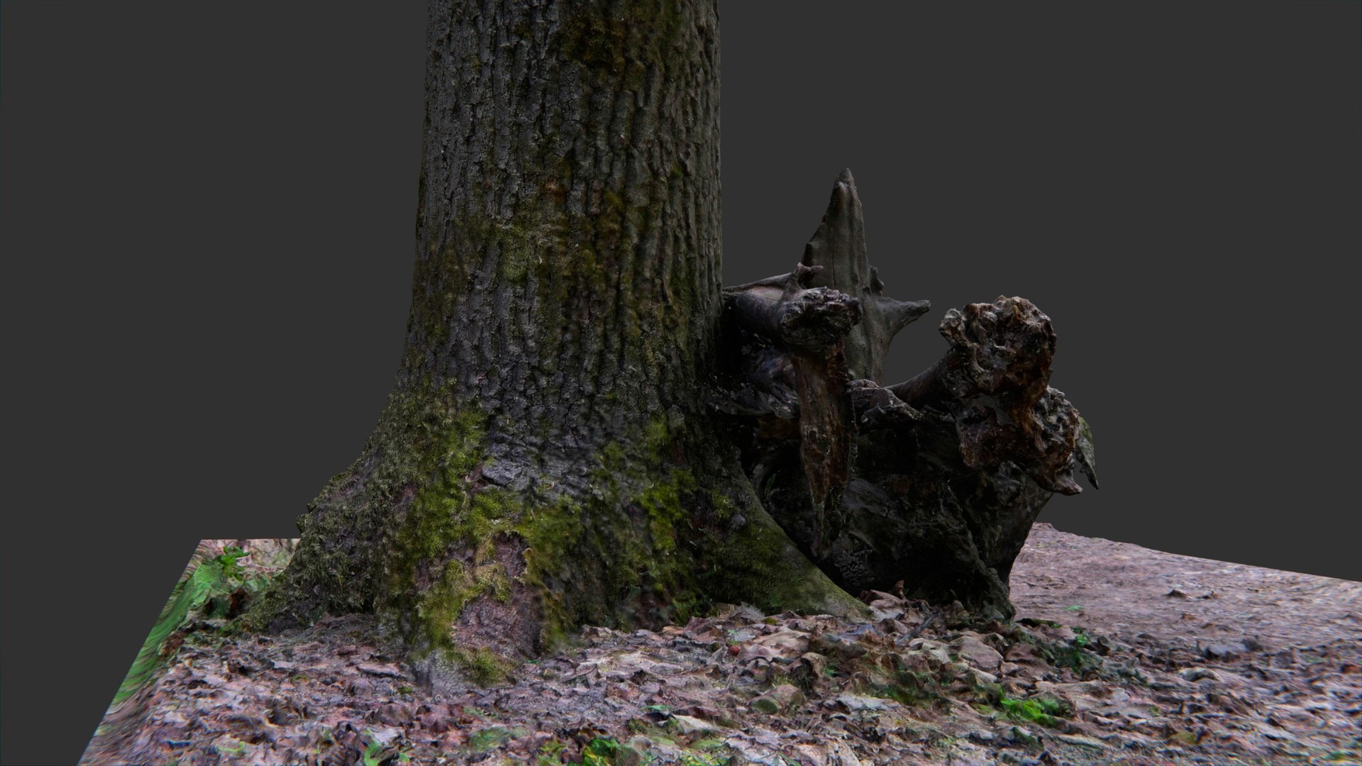 3D bench logs forest https://p.turbosquid.com/ts-thumb/xZ/a8ztiN/fFIEh99y/pr2/jpg/1573413020/1920x1080/fit_q87/c8789574a01aa99cf6c382284b65c4840a4fd3f1/pr2.jpg