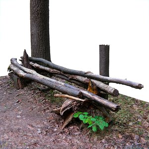 Log bench in the forest