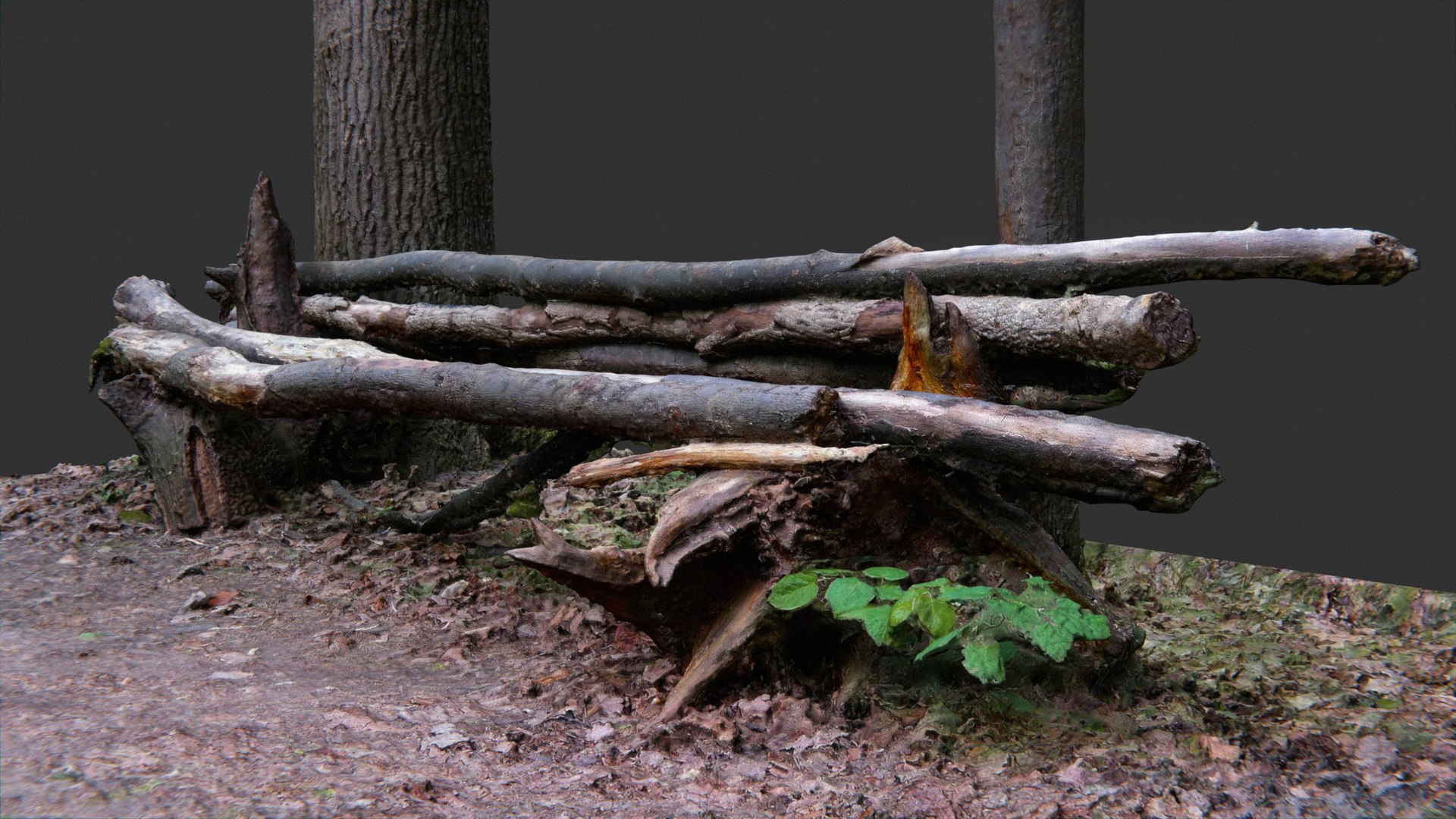 3D bench logs forest https://p.turbosquid.com/ts-thumb/xZ/a8ztiN/rwZxxFee/pr5/jpg/1573413020/1920x1080/fit_q87/459364f184f13332186de6cba28b55c179ef34a0/pr5.jpg