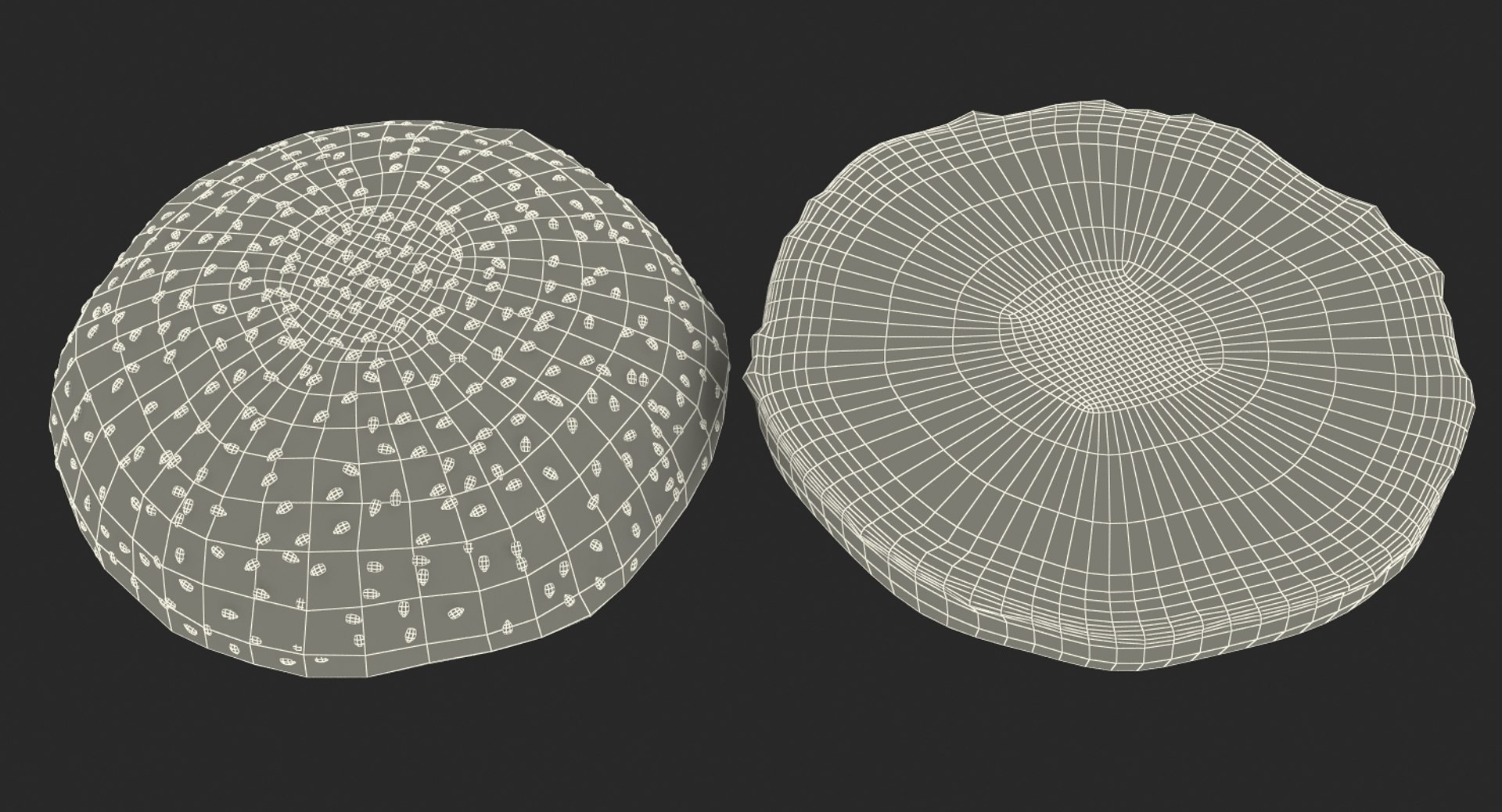 hamburger bun 3D model https://p.turbosquid.com/ts-thumb/xZ/hP7XKV/7mvjgx28/hamburgerbunmb3dmodel016/jpg/1496291443/1920x1080/fit_q87/254a5770c376999ae9f62b1bb37f12f47950d0fc/hamburgerbunmb3dmodel016.jpg