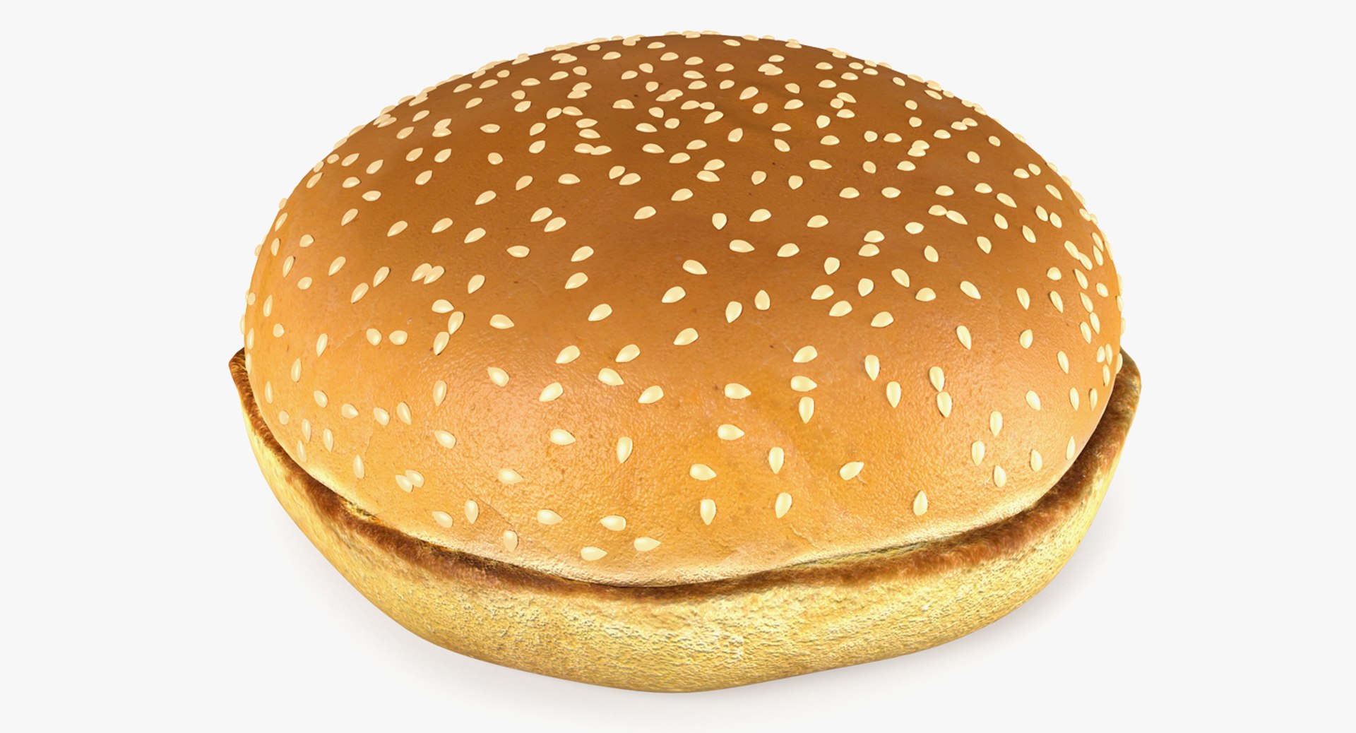 Hamburger Bun 3D Model 3D model preview