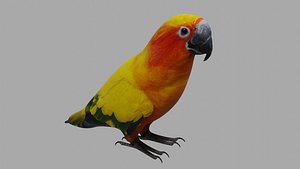 Parrot OBJ 3D model