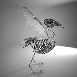 Skeleton Bird