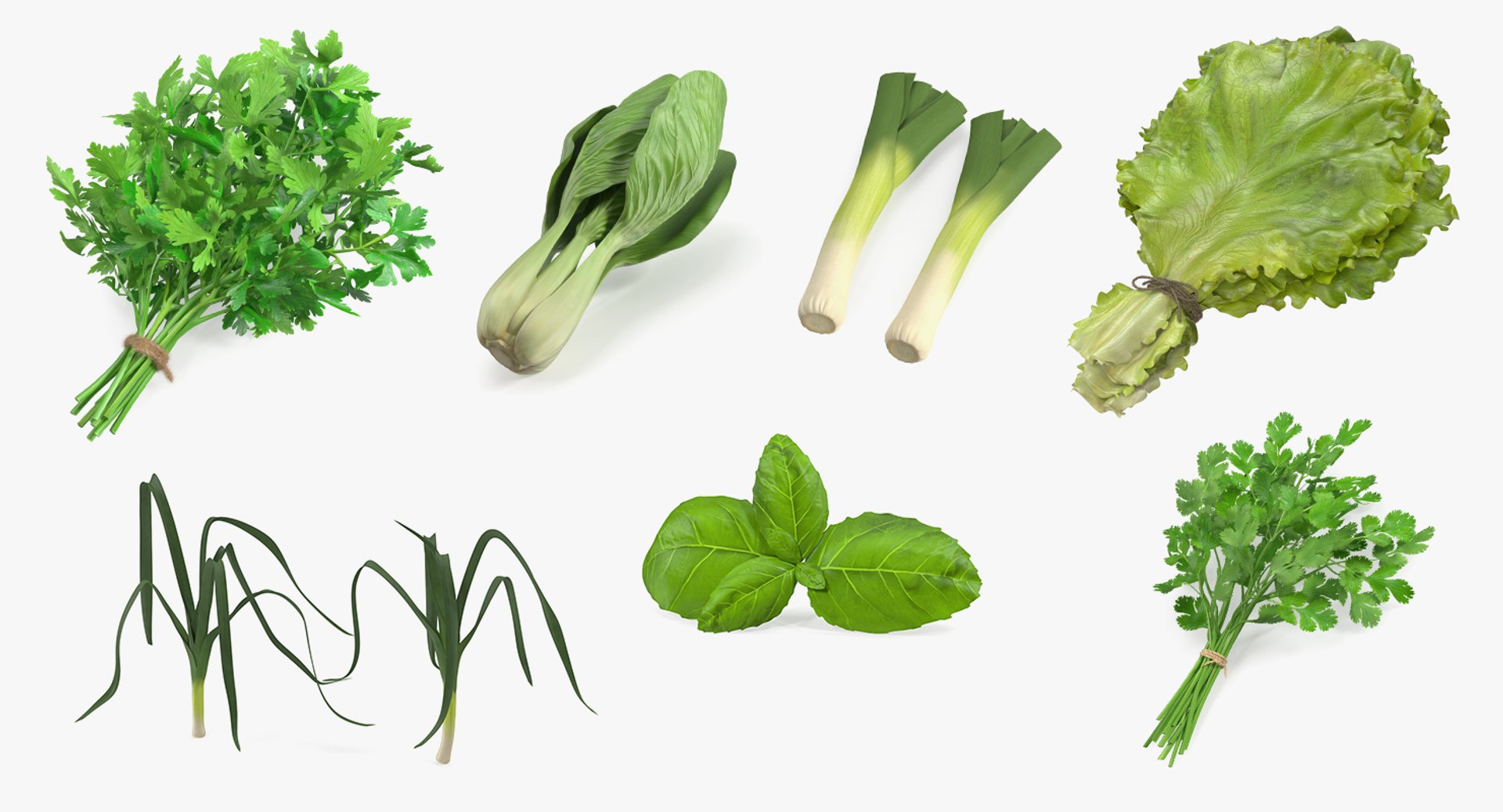 Salad Greens Collection 5 3D model https://p.turbosquid.com/ts-thumb/xZ/yfKeAl/8g/salad_greens_collection_5_001/jpg/1749731942/1920x1080/fit_q87/b73ecb3db6b5c520019ffe3596528986734aa746/salad_greens_collection_5_001.jpg