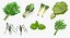 Salad Greens Collection 5 3D model