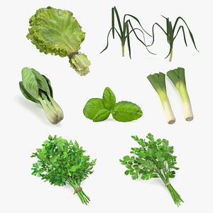 Salad Greens Collection 5 3D model