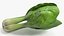 Salad Greens Collection 5 3D model