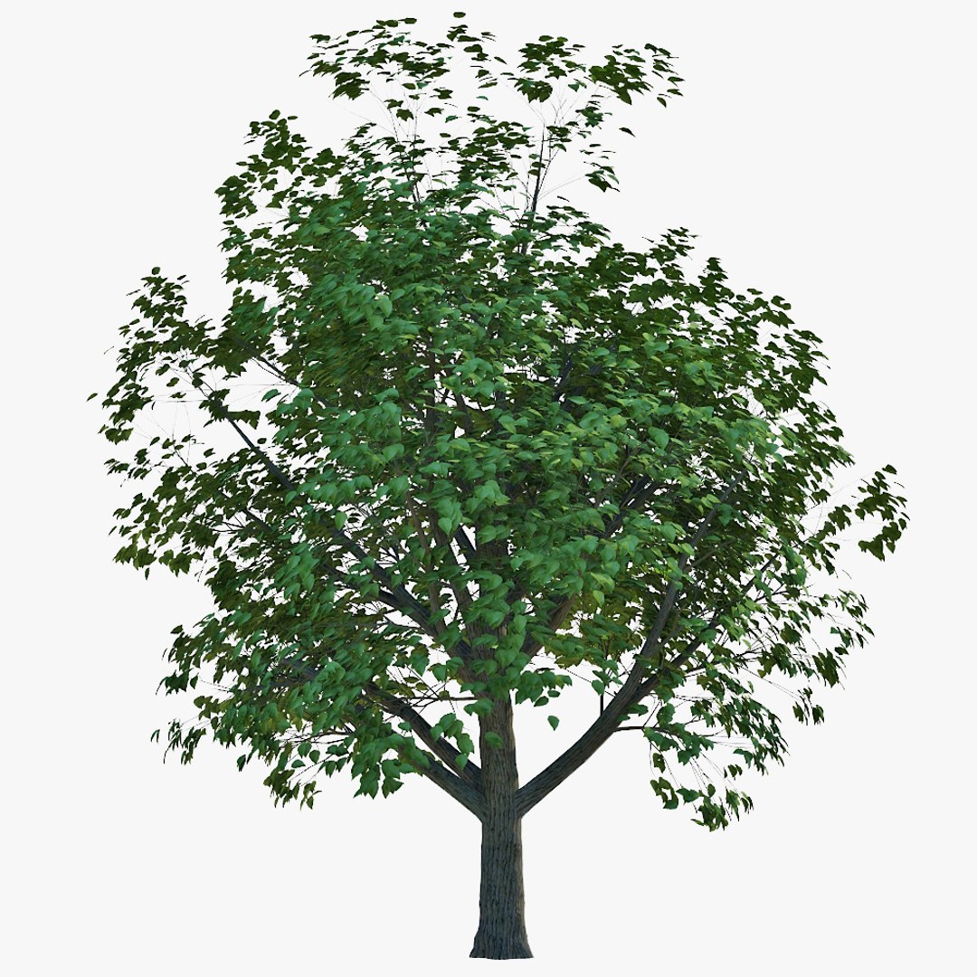 Max Realistic Tree