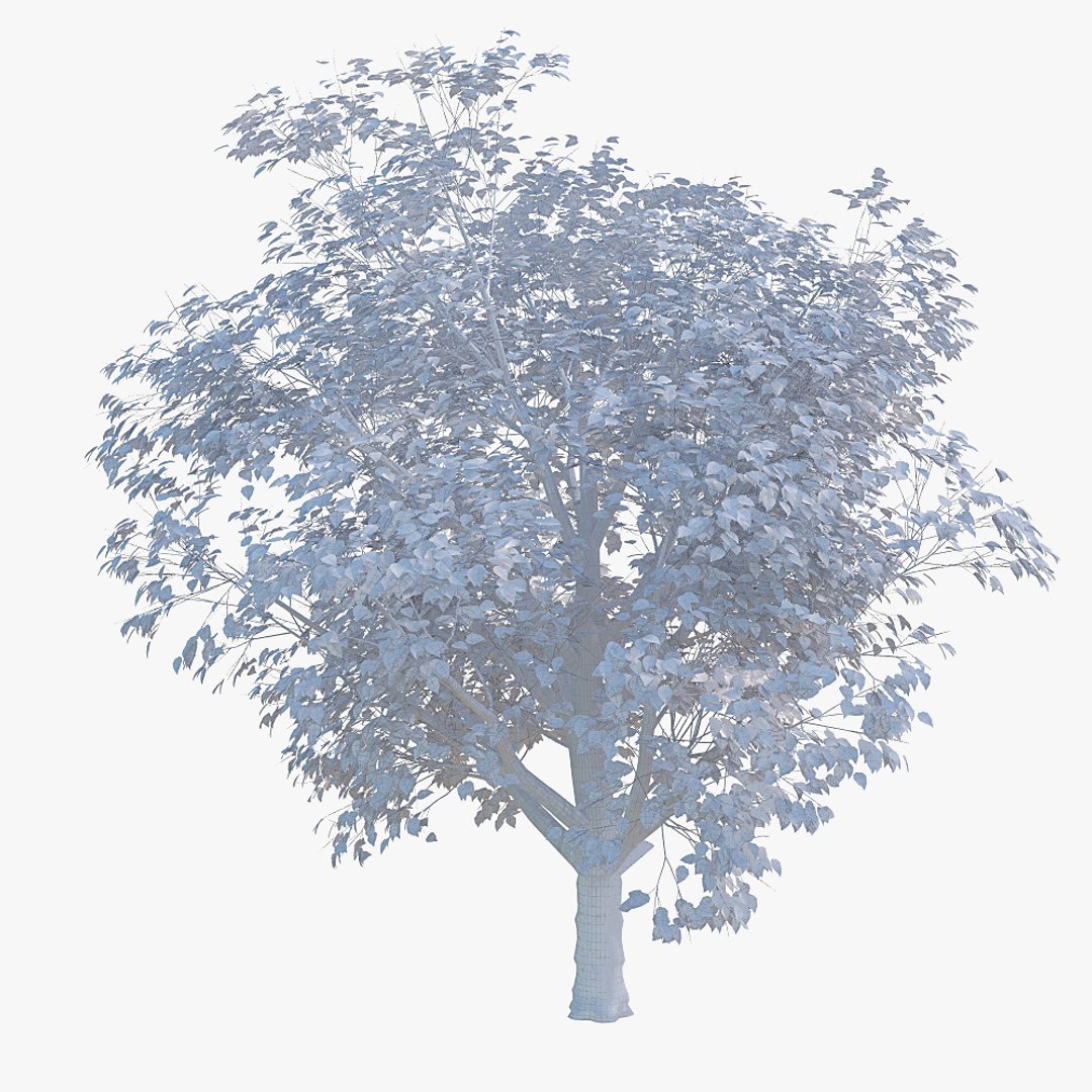 Max Realistic Tree