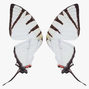 3D Fourbar Swordtail Remastered