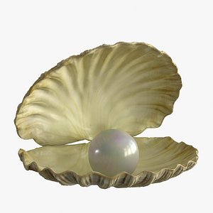 Sea Shell With Pearl