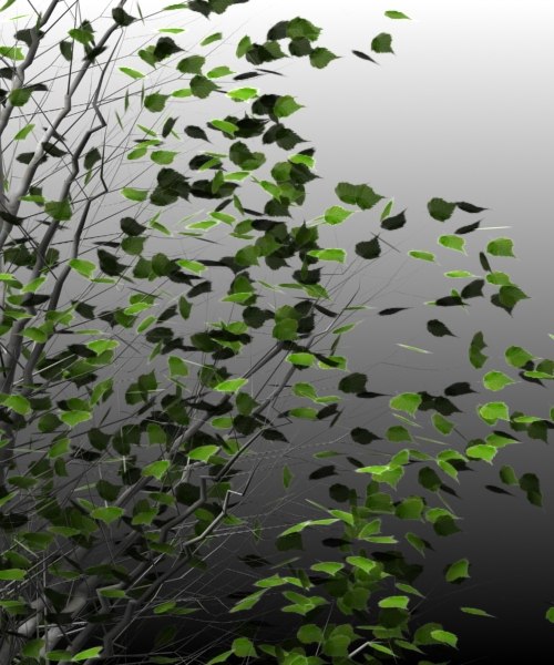 birch trees 3d max