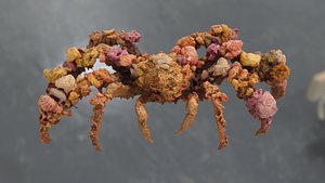 3D Spider Decorator Crab Scan