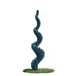 cupressus arizonica spiral - 3D model