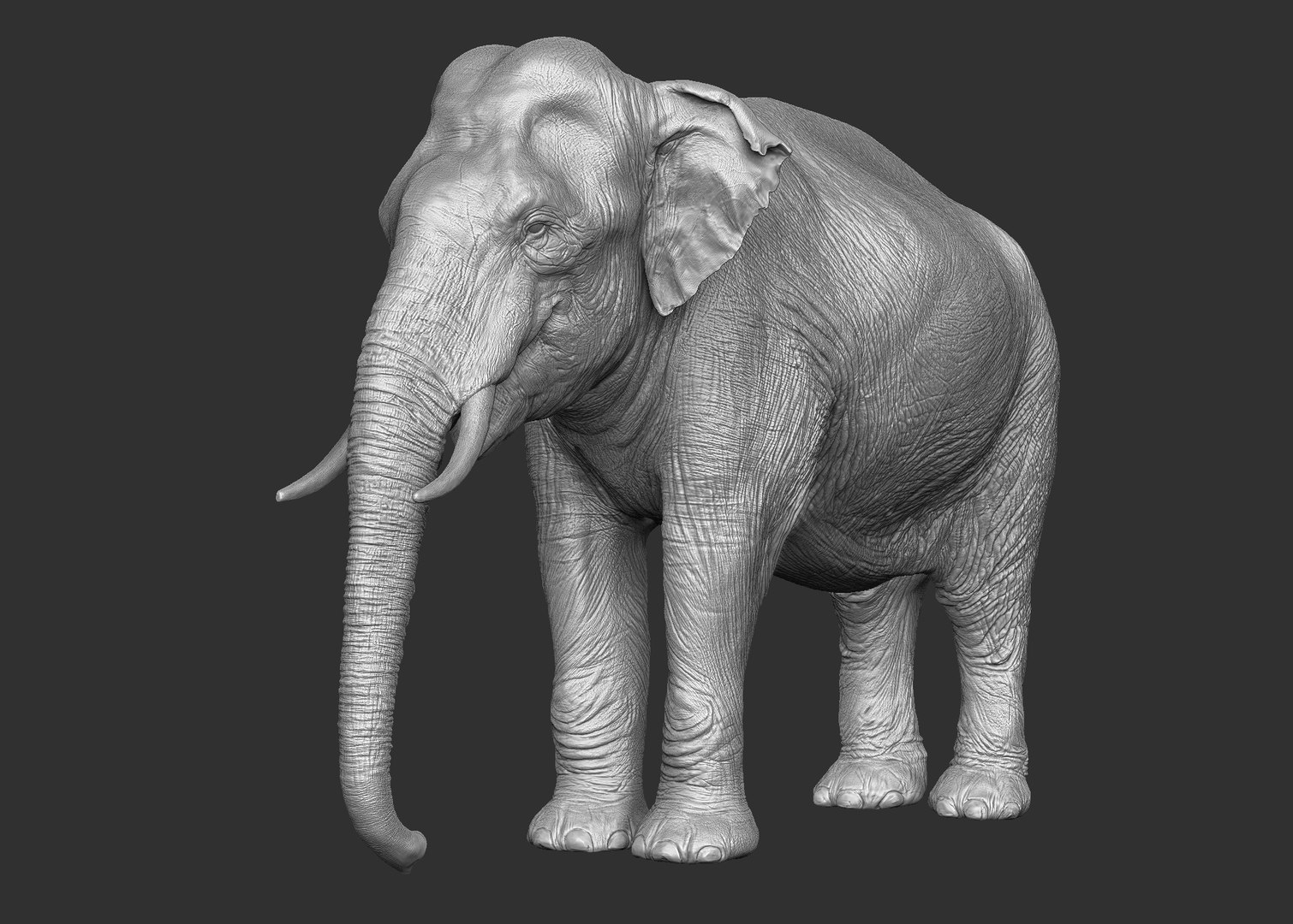 3D elephant asian - TurboSquid 1249618