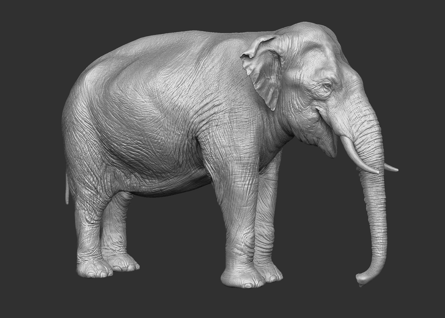 3D elephant asian - TurboSquid 1249618