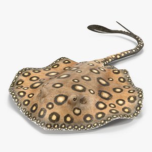 c4d river stingray pose 3
