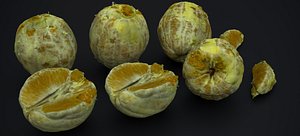 PEEL ORANGES 2024