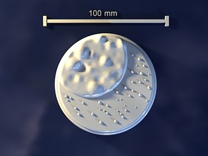moon mold hand 3d max