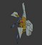Beedrill