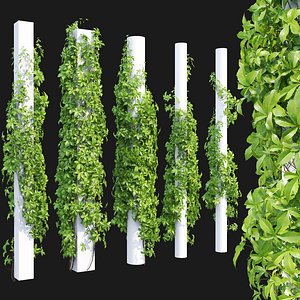 3D Virginia Creeper 05