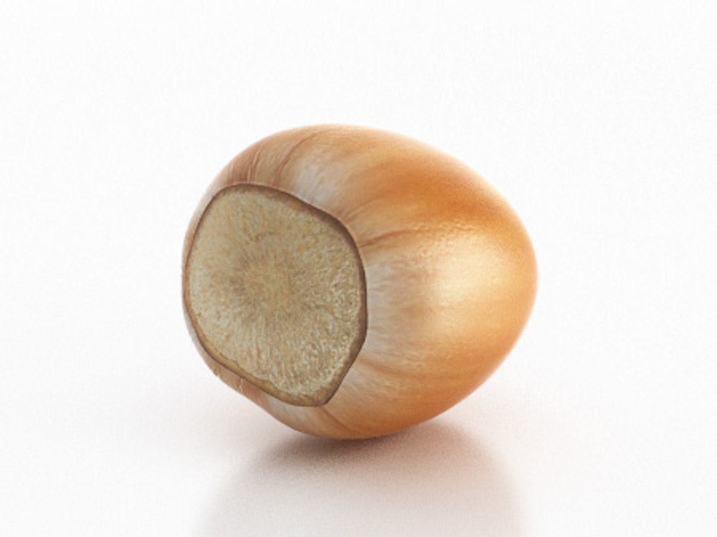 nut hazelnut max https://p.turbosquid.com/ts-thumb/xa/wFZ2pZ/mo5C4BXT/hazelnuts_3/jpg/1278423734/1920x1080/fit_q87/472ac3bde38327afe947c8231a3f74d050869380/hazelnuts_3.jpg