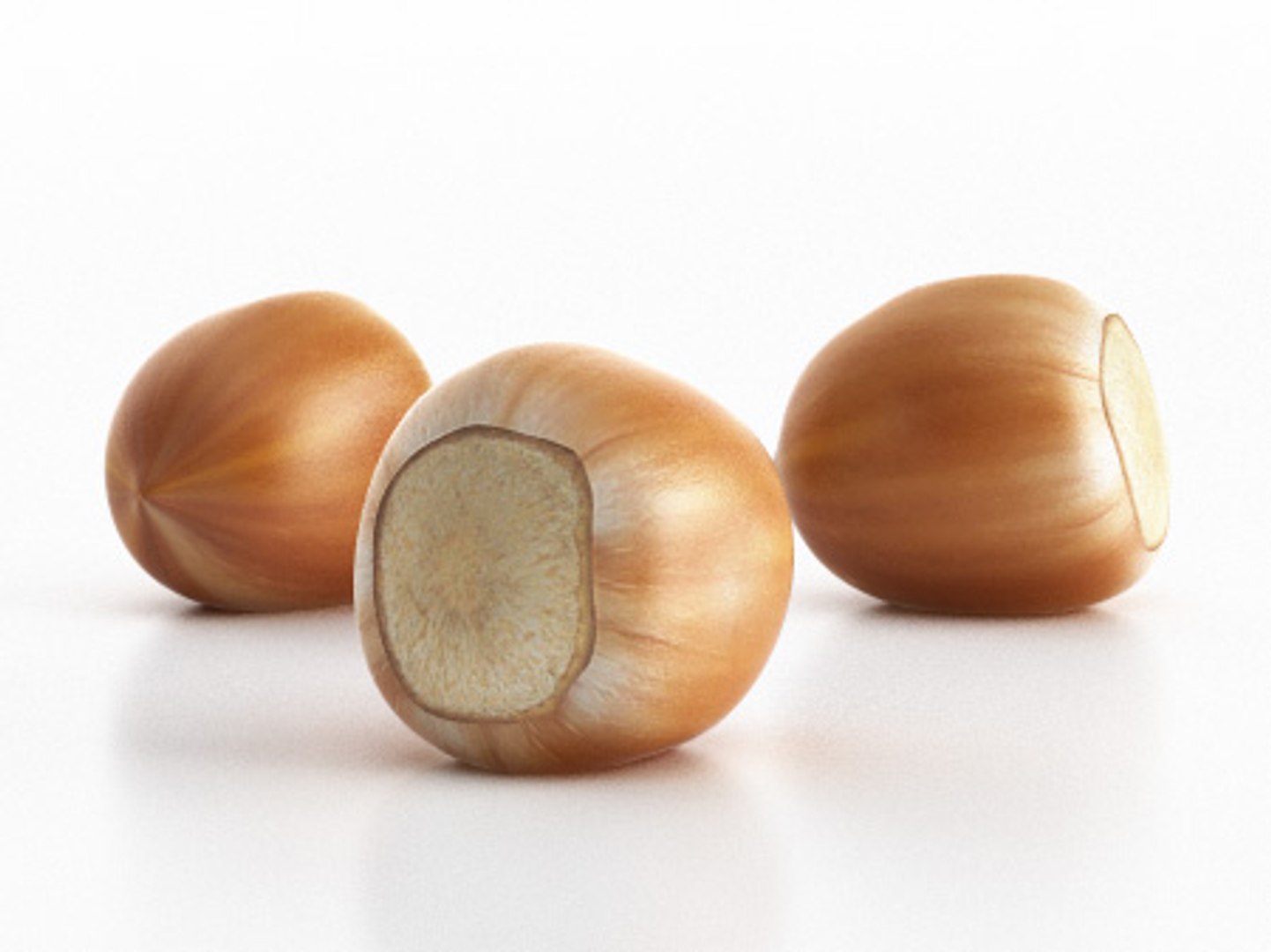nut hazelnut max https://p.turbosquid.com/ts-thumb/xa/wFZ2pZ/ueucCCA8/hazelnuts_2/jpg/1278423734/1920x1080/fit_q87/842a5fb9cc2e5cbf376791fdbdc4cbdc359482e2/hazelnuts_2.jpg