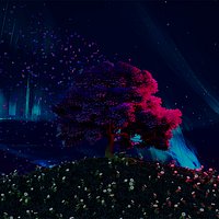 Night Aurora Borealis Tree