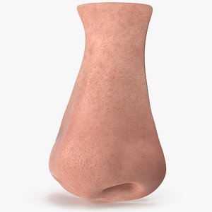 Human Nose Realistic V01 3D model