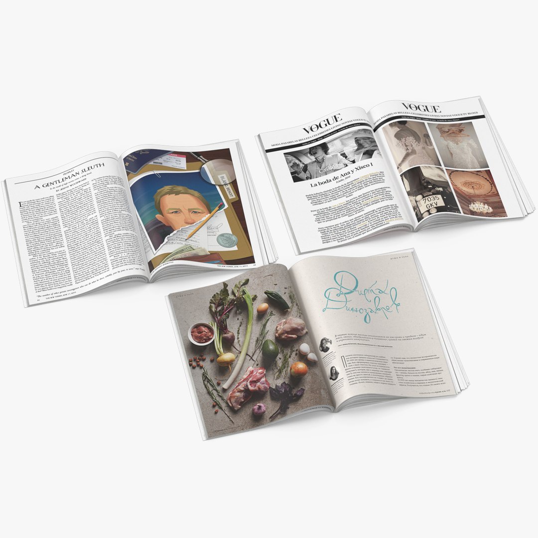 Open New Yorker Vogue and Seasons Magazines 3D model preview