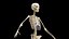 Pełna anatomia kobiety
