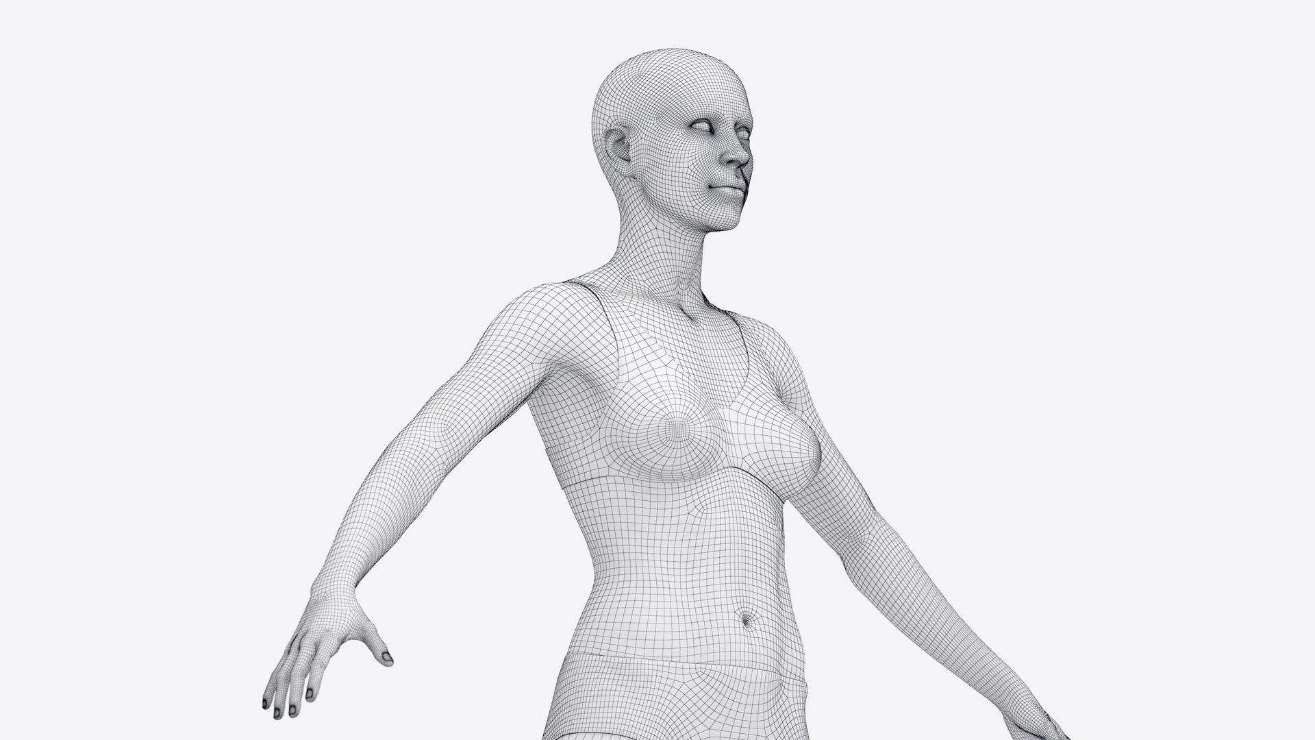 Female Full Anatomy 3D model https://p.turbosquid.com/ts-thumb/xb/UkvHFV/R4/anatomy_v2_female_wire_body0000/jpg/1667224052/1920x1080/fit_q87/99961fe021226607ec2b32af1b95651171a9b9ed/anatomy_v2_female_wire_body0000.jpg