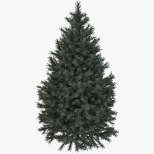 3d pine fir tree
