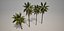 Palm Tree 3D Models 3D model