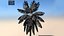 Palm Tree 3D Models 3D model