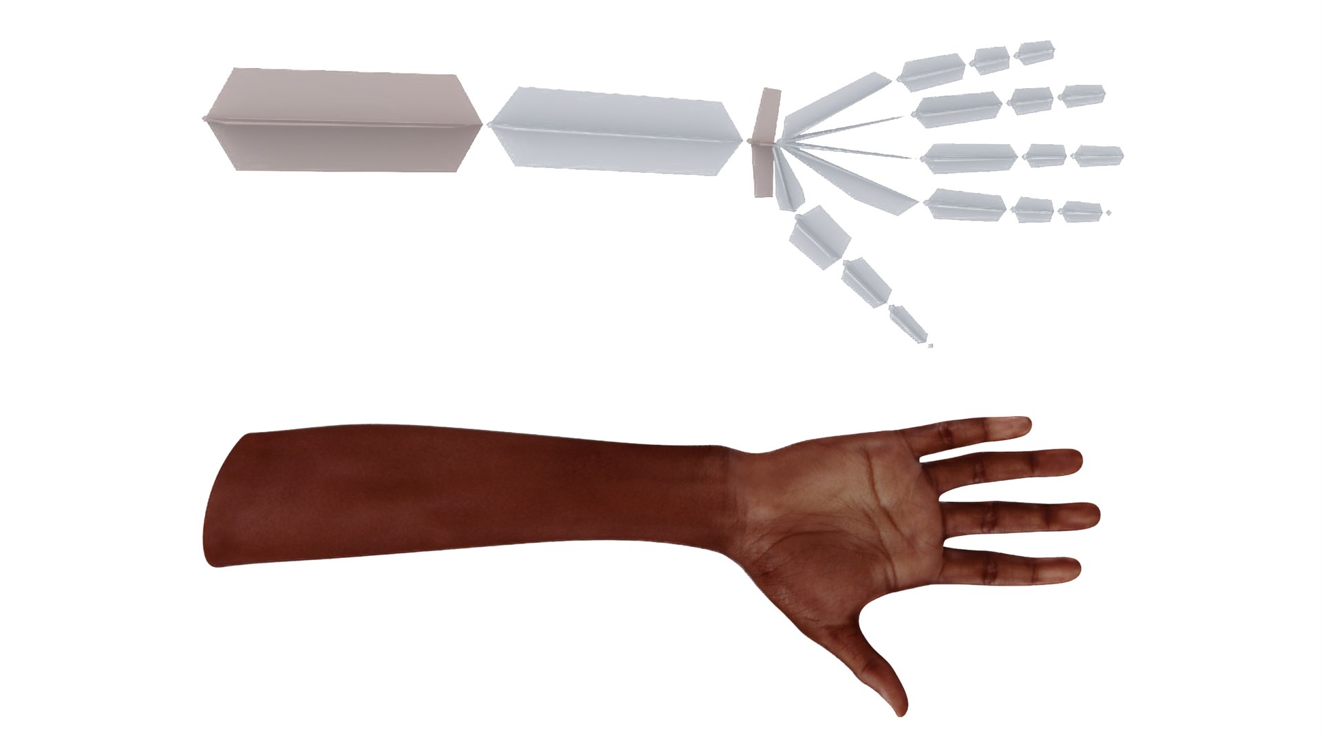 Dark Skinned Woman Hands Rigged model https://p.turbosquid.com/ts-thumb/xb/vQAcKB/8l/darkskinnedwomanhandsriggedvray3dmodel010/jpg/1704221723/1920x1080/fit_q87/82014f4d4f45e50daba12ddb77391504cff9fc77/darkskinnedwomanhandsriggedvray3dmodel010.jpg