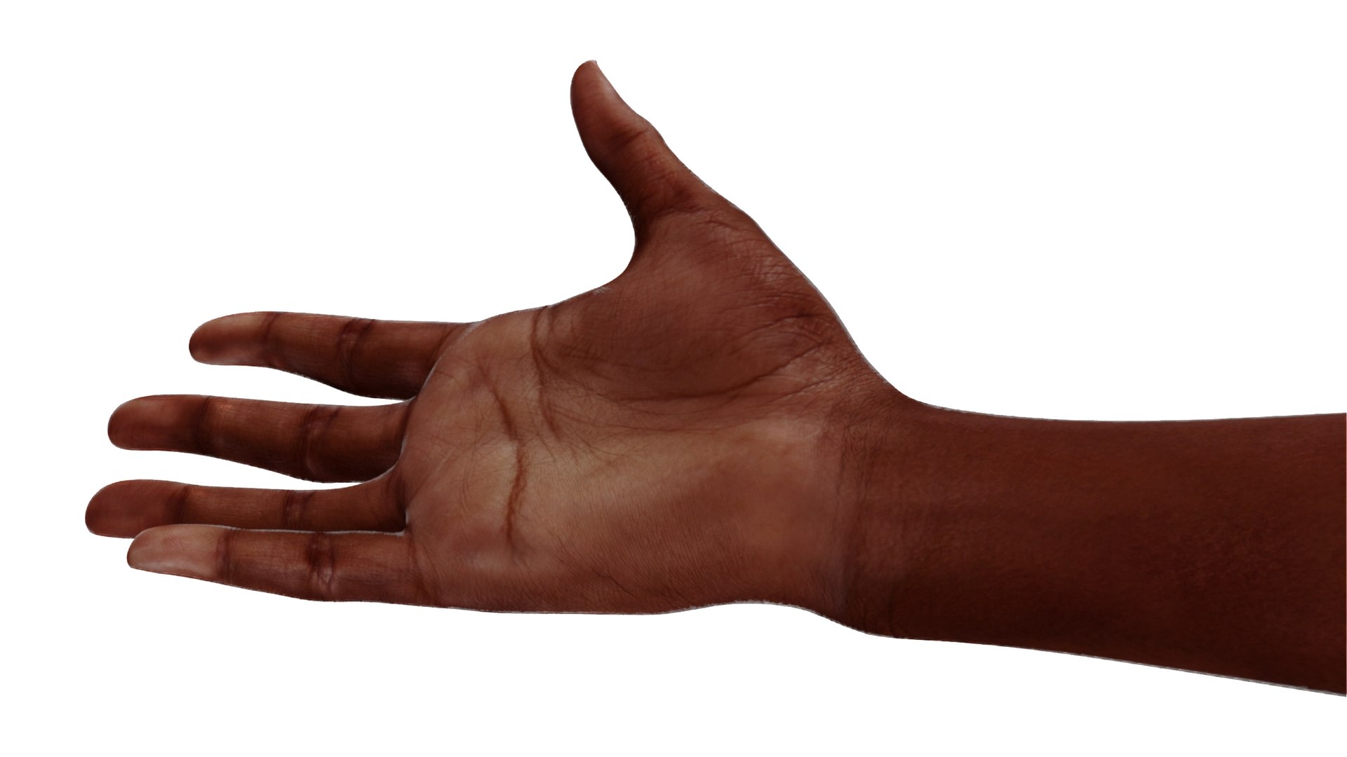 Dark Skinned Woman Hands Rigged model https://p.turbosquid.com/ts-thumb/xb/vQAcKB/dB/darkskinnedwomanhandsriggedvray3dmodel009/jpg/1704221718/1920x1080/fit_q87/c0721da35214181fa7990128fca70dfdd2557a4e/darkskinnedwomanhandsriggedvray3dmodel009.jpg