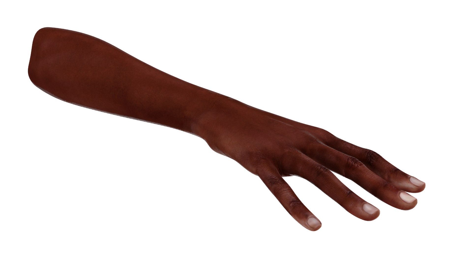 Dark Skinned Woman Hands Rigged model https://p.turbosquid.com/ts-thumb/xb/vQAcKB/hE/darkskinnedwomanhandsriggedvray3dmodel007/jpg/1704221708/1920x1080/fit_q87/4a7a3b8f005983ebfbba796327c59a962c368089/darkskinnedwomanhandsriggedvray3dmodel007.jpg