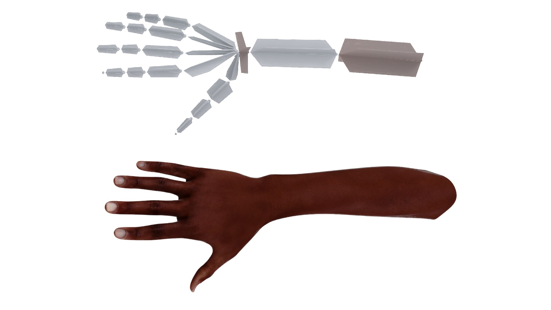 Dark Skinned Woman Hands Rigged model https://p.turbosquid.com/ts-thumb/xb/vQAcKB/iS/darkskinnedwomanhandsriggedvray3dmodel011/jpg/1704221728/1920x1080/fit_q87/d0c143fb484353d1b03bc81d927789c08dfaed3c/darkskinnedwomanhandsriggedvray3dmodel011.jpg