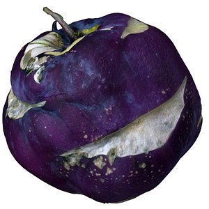 3d model cabbage photorealistic plant