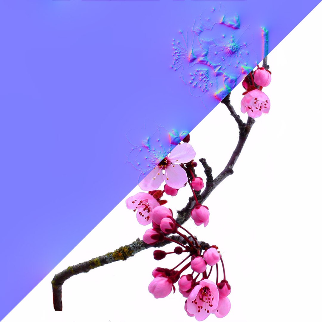cherry blossom tree 3D https://p.turbosquid.com/ts-thumb/xc/3axg5U/gpN3JvsH/flowers/jpg/1502015373/1920x1080/fit_q87/e17086ab943b816b00c0b227cb669ebfa392bc18/flowers.jpg