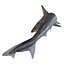 School Shark Swimming Pose 3D Model