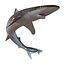 School Shark Swimming Pose 3D Model