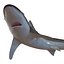 School Shark Swimming Pose 3D Model