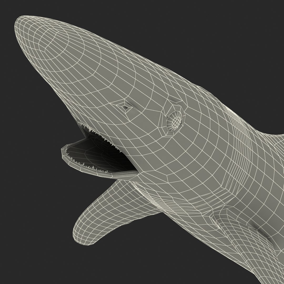 school shark pose 2 3d 3ds https://p.turbosquid.com/ts-thumb/xc/3h2TmW/WJYzSy1X/3dmodelofschoolshark32/jpg/1447067361/1920x1080/fit_q87/8fe52435fd3e2d9b166673eeb0d1d0c07517b0d7/3dmodelofschoolshark32.jpg