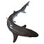 School Shark Swimming Pose 3D Model